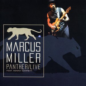 Marcus Miller - Steveland (Live)