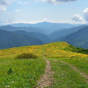 Мера торжества