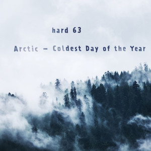 Arctic: Coldest Day of the Year