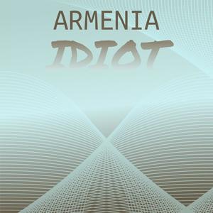 Armenia Idiot