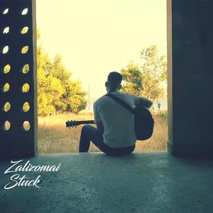 Zalizomai