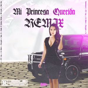 Mi Princesa Querida (Remix)