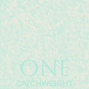 One Catchweight