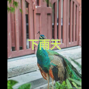 夜巴黎 (情歌版)