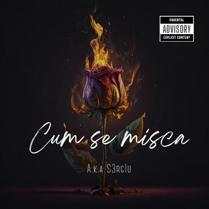 Cum se misca (Explicit)