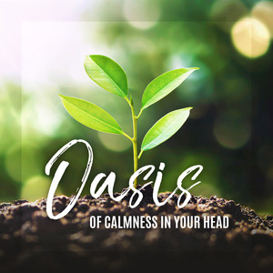 Oasis of Calmness in Your Head