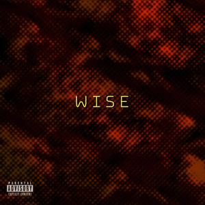 Wise (feat. Moizzzz) (Explicit)