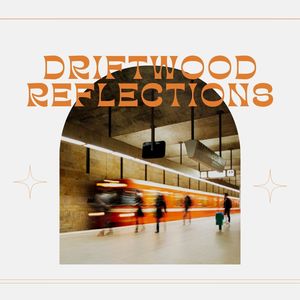 Driftwood Reflections