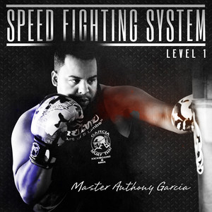 Speed Fighting System