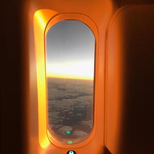 Company (feat. Ross Gossage, Theevoni & Crater) (Explicit)