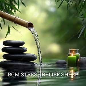 Gentle Harmony for Stress-Free Sleep