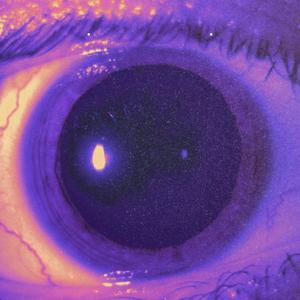 AL MENOS LO INTENTAMOS (feat. DVRMV)