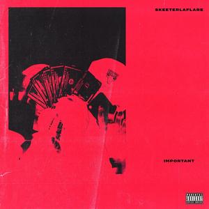 Important (Explicit)