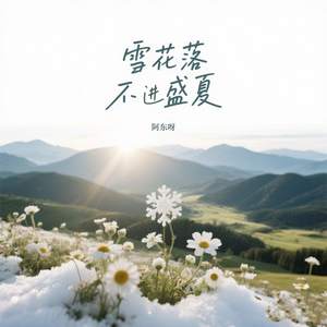 雪花落不进盛夏