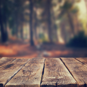 永久计划 - 温山软水