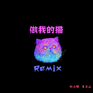 满舒克 - 做我的猫 (Remix|夏子皓 / 明God remix)