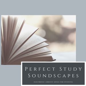 Perfect Study Soundscapes: Electronic Ambient Songs for Studying