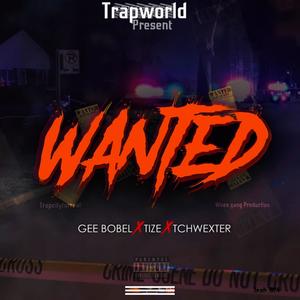 Wanted (Explicit)