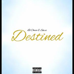 Destined (feat. Skrrt) [Explicit]