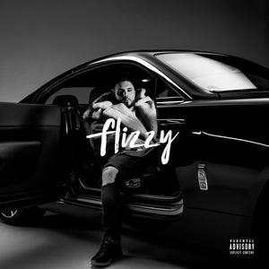 Flizzy (Premium Edition)
