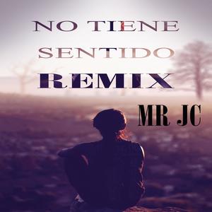 No Tiene Sentido (Remix)