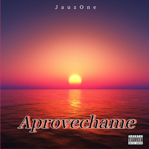 Aprovéchame (Oficial|Explicit)