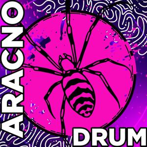 Hard Aracno Drum #1256