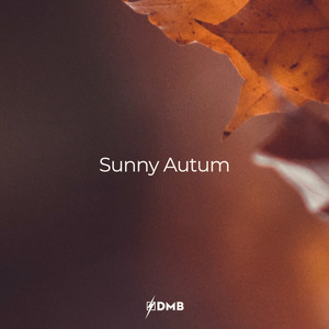 Sunny Autum