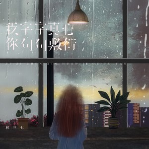 我字字真心你句句敷衍 (婚礼整活版)