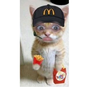 GegenRechts (feat. Fuchsia) (Explicit)