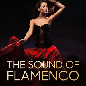 The Sound of Flamenco
