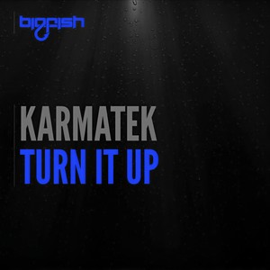 Turn It Up (Original Mix)