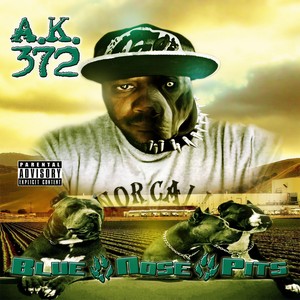 Chapters (Explicit)