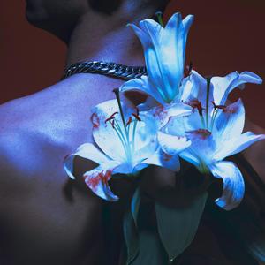 MADONNA (feat. King Kalabash|Explicit)