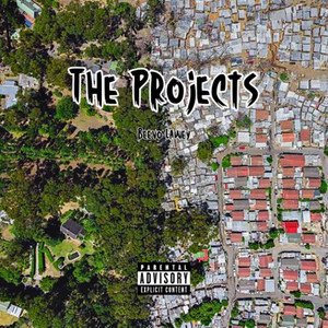 The Projects
