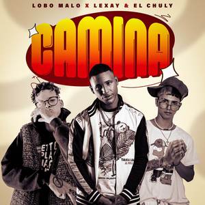 CAMINA (Explicit)