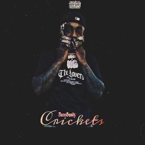 Crickets (feat. Trvp) [Explicit]