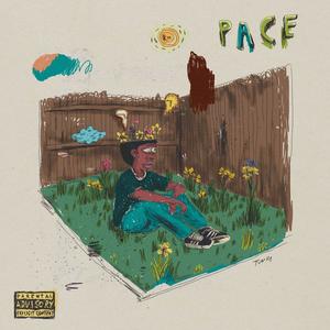 PACE (Explicit)