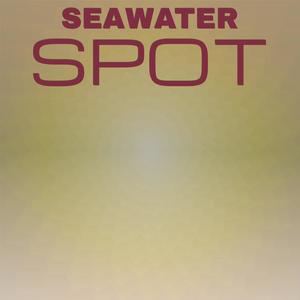 Seawater Spot