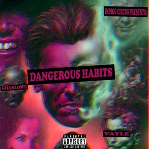 Dangerous Habits (feat. Vayle) [Explicit]