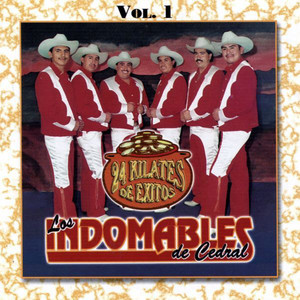 24 Kilates De Exitos Vol. 1