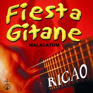 Fiesta gitane autour d'un feu, vol. 1 (Malacatum)