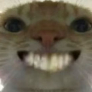 库里库里 (哈基米版)