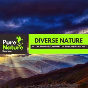 Diverse Nature - Nature Sounds from Forest Oceans and Rains, Vol.7