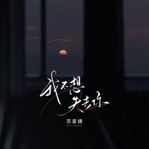 我不想失去你封面