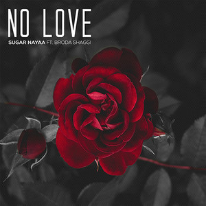 No Love(feat. Broda Shaggi) (Explicit)