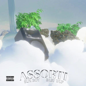 Assorti (Explicit)