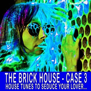The Brick House - Case 3