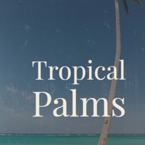 Tropical Palms