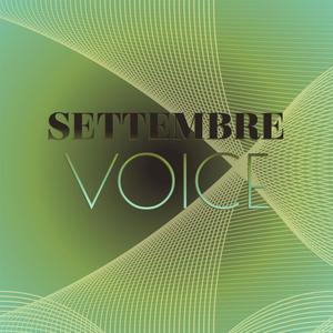 Settembre Voice